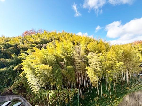 ���{���c�s�t��2���� 6�̒��Ã}���V�����̏Z�˂���̒��]�ʐ^