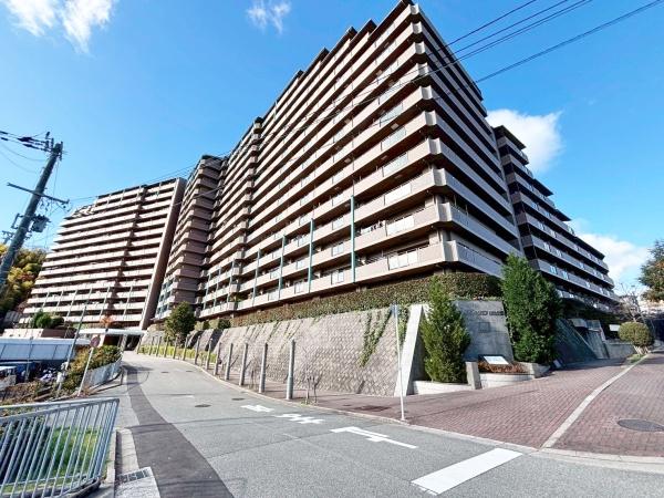 ���{���c�s�t��2���� 6�̒��Ã}���V�����̌��n�O�ώʐ^