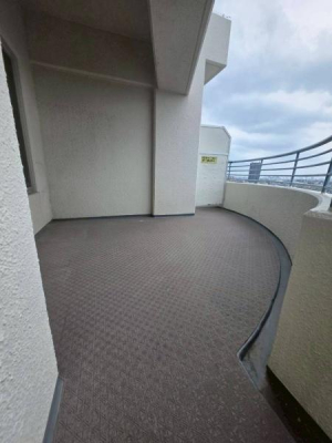 ���{����s��v�ے�2���ڂ̒��Ã}���V�����̃o���R�j�[