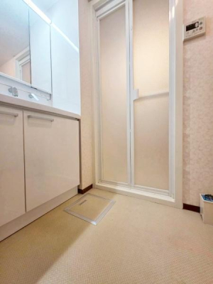 ���{����s��v�ے�2���ڂ̒��Ã}���V�����̐��ʑ�E���ʏ�