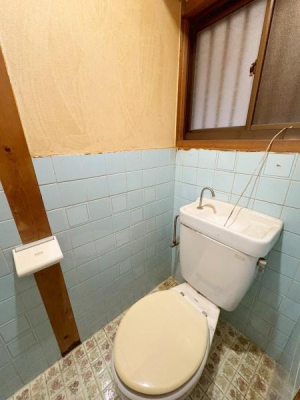 ���{��^�s�l�{2���ڂ̒��È�ˌ��Ẵg�C��