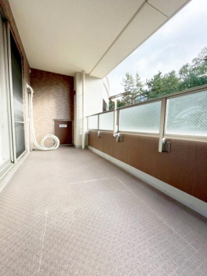 ���{�L���s����2���ڂ̒��Ã}���V�����̂��̑����p��