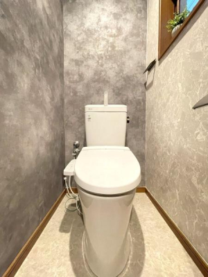 ���{���s���������k8���ڂ̒��È�ˌ��Ẵg�C��