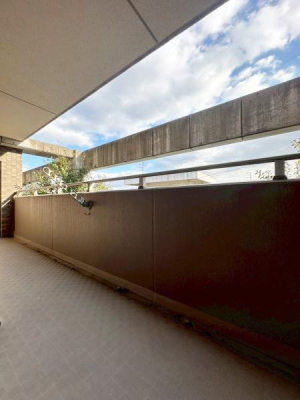 ���{�Q����s�����������̒��Ã}���V�����̃o���R�j�[