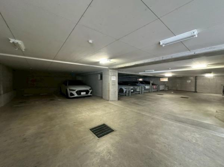 ���{�Q����s�����������̒��Ã}���V�����̉摜