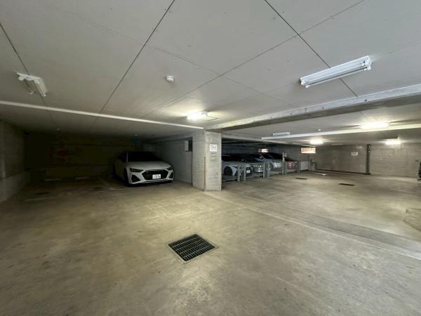 ���{�Q����s�����������̒��Ã}���V�����̉摜