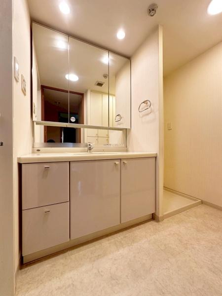 ���{�Q����s�����������̒��Ã}���V�����̐��ʑ�E���ʏ�