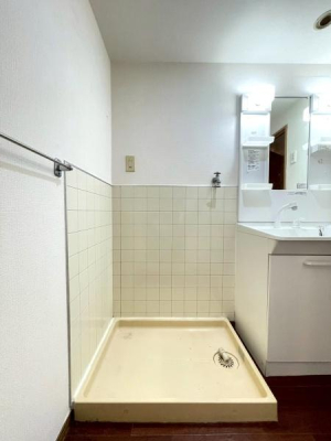 ���{���s����������4���ڂ̒��Ã}���V�����̐��ʑ�E���ʏ�