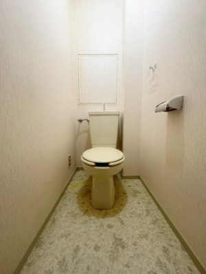 ���{��^�s��̎����̒��Ã}���V�����̃g�C��