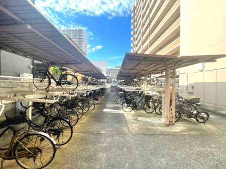 ���{���s����敽�쌳���̒��Ã}���V�����̂��̑����p��