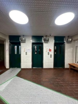 ���{����s����{��1���ڂ̒��Ã}���V�����̂��̑����p��