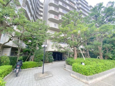 ���{���s����������2���ڂ̒��Ã}���V�����̂��̑����p��