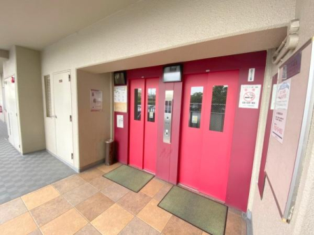 ���{���s����������2���ڂ̒��Ã}���V�����̂��̑����p��