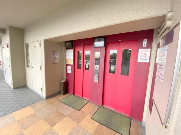 ���{���s����������2���ڂ̒��Ã}���V�����̂��̑����p��