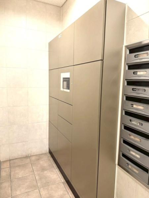 ���{���s������A��2���ڂ̒��Ã}���V�����̂��̑����p��