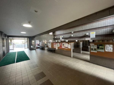 ���{�����s����c3���ڂ̒��Ã}���V�����̂��̑����p��