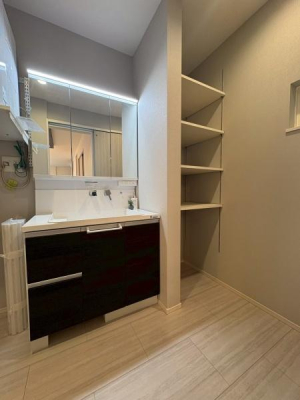 ���{�����s�L�Y���̐V�z��ˌ��Ă̐��ʑ�E���ʏ�