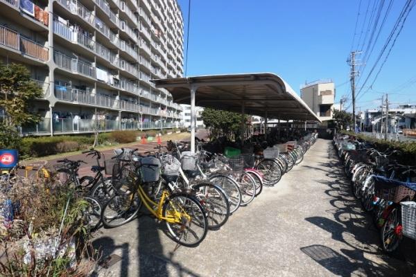 ���{����s���_�k��3���ڂ̒��Ã}���V�����̂��̑����p��