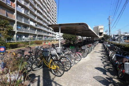 ���{����s���_�k��3���ڂ̒��Ã}���V�����̂��̑����p��