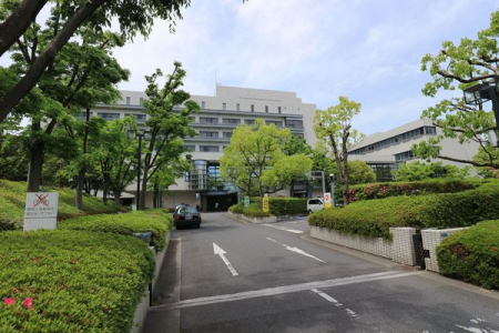 ���{����s���_�k��3���ڂ̒��Ã}���V�����̎��ӊ�