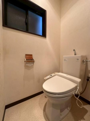 ���{��^�s�]�[���̒��È�ˌ��Ẵg�C��