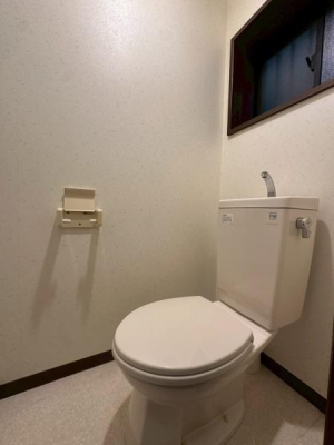 ���{��^�s�]�[���̒��È�ˌ��Ẵg�C��