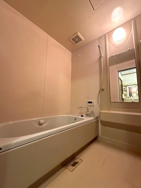 大阪府大阪市平野区西脇4丁目の中古一戸建ての浴室