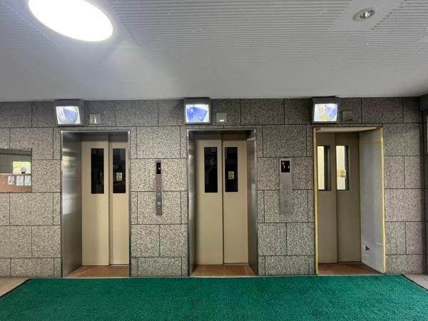 ���{�����s����c3���ڂ̒��Ã}���V�����̂��̑����p��