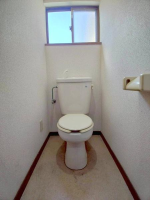 ���{�����s��]����2���ڂ̒��È�ˌ��Ẵg�C��