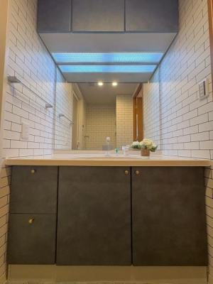 ���{�Q����s�������V���̒��Ã}���V�����̐��ʑ�E���ʏ�