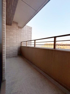 ���{���c�s���R��5���� �̒��Ã}���V�����̃o���R�j�[