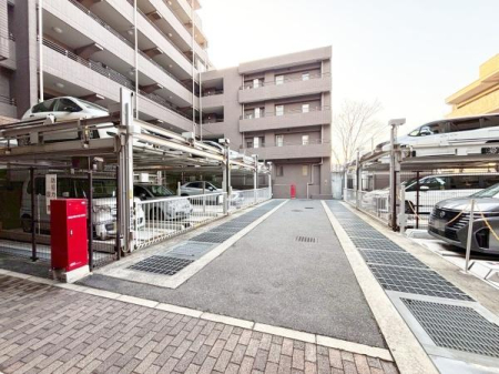 ���{���c�s���R��5���� �̒��Ã}���V�����̉摜