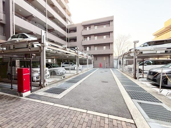 ���{���c�s���R��5���� �̒��Ã}���V�����̉摜