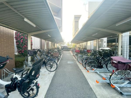 ���{���c�s�]�̖ؒ� 24-9�̒��Ã}���V�����̂��̑����p��