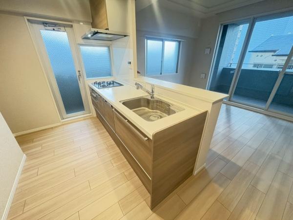 ���{��^�s�����̒��Ã}���V�����̃L�b�`��