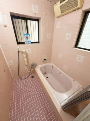 ���{�Q����s���`�����u�̒��È�ˌ��Ă̗���