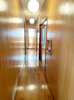 ���Ɍ����{�s�����K�[�f���̒��È�ˌ��Ă̌���