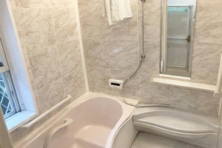 ���Ɍ����{�s�����K�[�f���̒��È�ˌ��Ă̗���