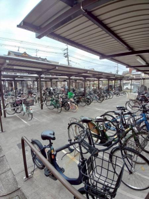 ���{�����s��]����2���ڂ̒��Ã}���V�����̂��̑����p��