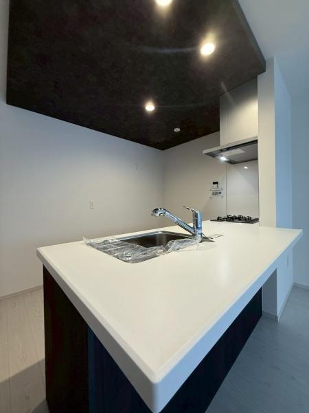 ���{�����s�ʋ�����1���ڂ̐V�z��ˌ��ẴL�b�`��