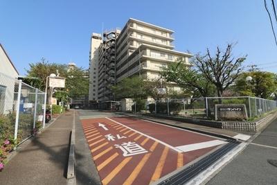 ���{�Q����s�r�c�k���̒��Ã}���V�����̂��̑����n