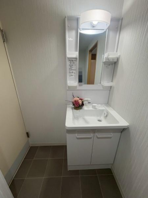 ���{�Q����s�r�c�k���̒��Ã}���V�����̐��ʑ�E���ʏ�