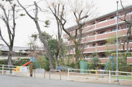 ���{�L���s�k��1���ڂ̒��Ã}���V�����̂��̑����n