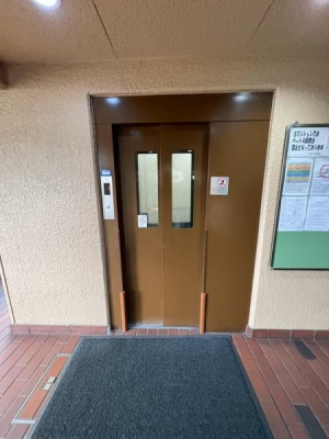 ���{�����s�F��5���ڂ̒��Ã}���V�����̂��̑����p��