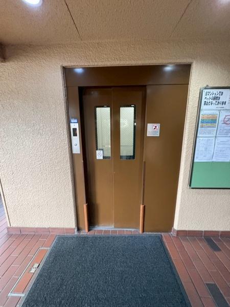 ���{�����s�F��5���ڂ̒��Ã}���V�����̂��̑����p��