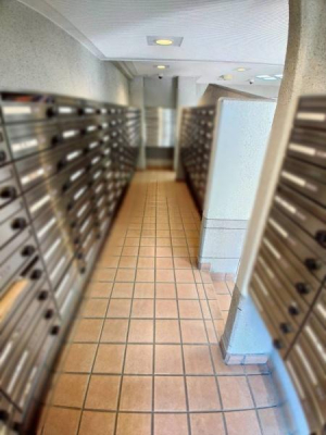 ���{�����s�H����6���ڂ̒��Ã}���V�����̂��̑����p��