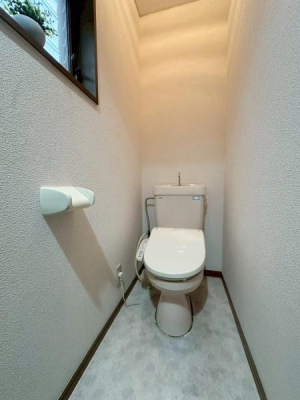 ���{�Q����s�Β��̒��È�ˌ��Ẵg�C��