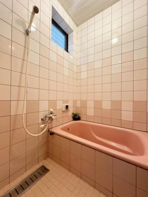 ���{�Q����s�Β��̒��È�ˌ��Ă̗���