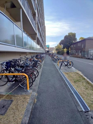 ���{�����s����c2���ڂ̒��Ã}���V�����̂��̑����p��