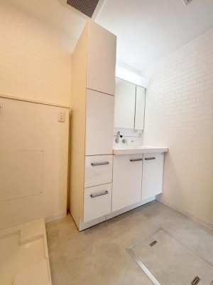 ���Ɍ����{�s���R��2���ڂ̒��Ã}���V�����̐��ʑ�E���ʏ�